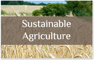 Sustainable Agriculture at Somers Farm