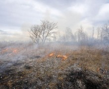 Prairie Burn
